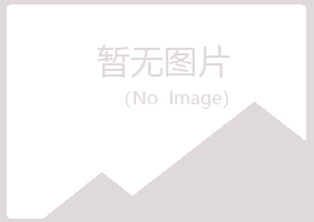 山阳县夏日工程有限公司